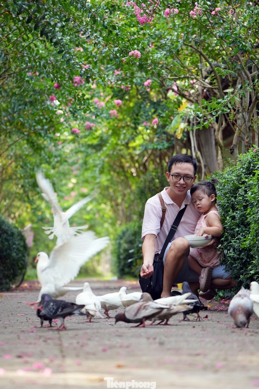 Hà Nội đang thời điểm hoa nở rộ đã thu hút nhiều gia đình cũng như giới trẻ đến chụp hình, đặc biệt là những ngày cuối tuần nắng đẹp như hôm nay.