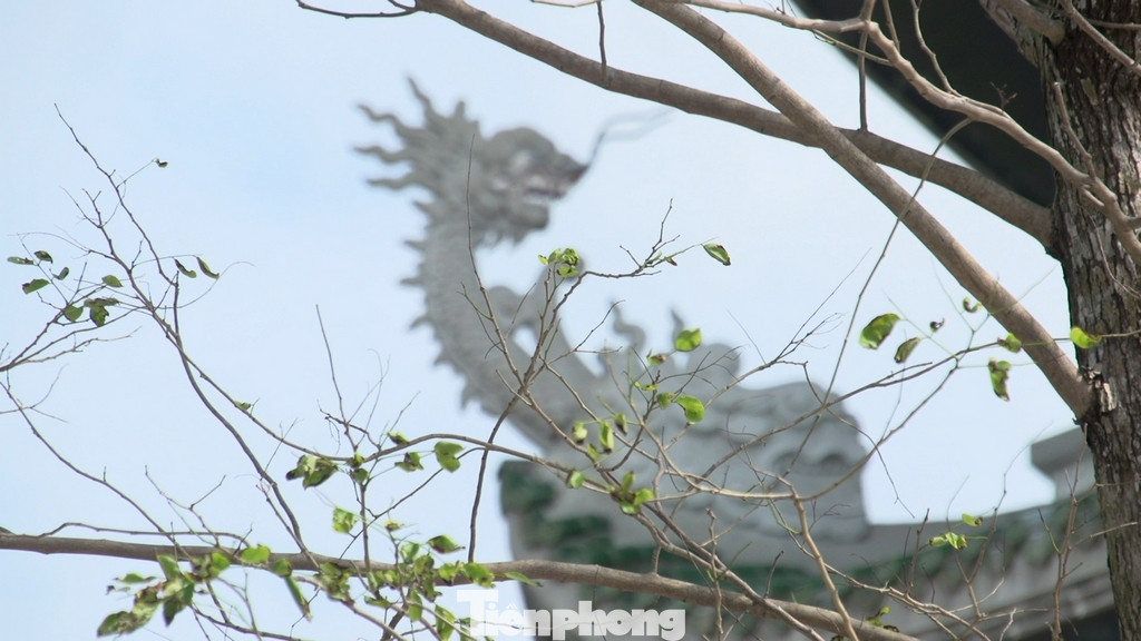 Bên cạnh việc đi lễ chùa, du khách cũng có thể chiêm ngưỡng vẻ đẹp của thiên nhiên, đất trời tại đây và cầu nguyện cho một cuộc sống hạnh phúc, tài lộc. Bên cạnh việc đi lễ chùa, du khách cũng có thể chiêm ngưỡng vẻ đẹp của thiên nhiên, đất trời tại đây và cầu nguyện cho một cuộc sống hạnh phúc, tài lộc.