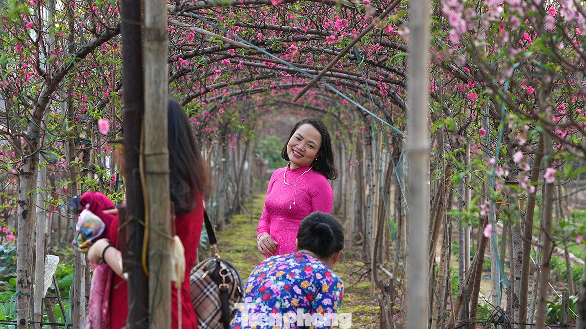 Có chăng chỉ có những nhóm khách ghé qua nhờ được chụp hình... &quot;check in&quot;.