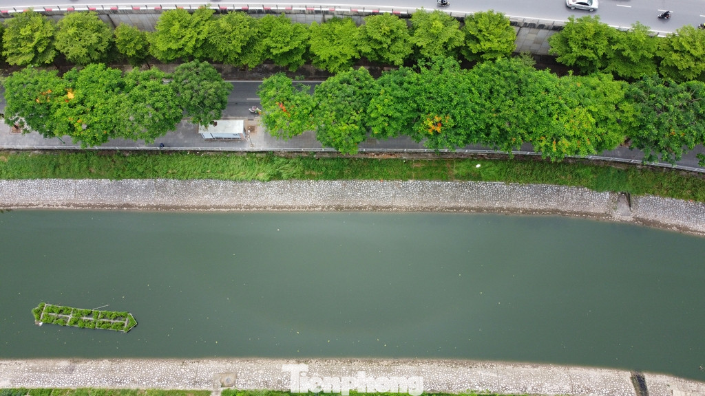 Cây xanh phủ kín trên tuyến phố dọc hai bên dòng sông Tô Lịch trên địa bàn quận Cầu Giấy.