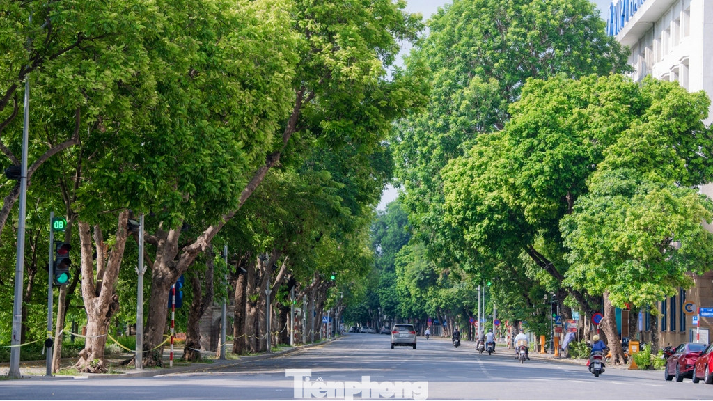 Nhắc đến cây xanh, đầu tiên phải kể đến các tuyến phố xung quanh hồ Hoàn Kiếm. Nơi này tập trung rất nhiều người đi bộ từ sáng đến tối muộn dưới bóng mát của tán cây xanh.