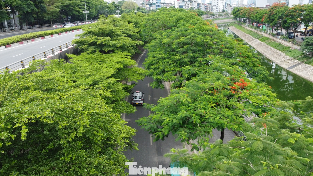 Những con đường rợp bóng mát của đường phố Thủ đô Hà Nội: Xanh - Sạch - Đẹp.