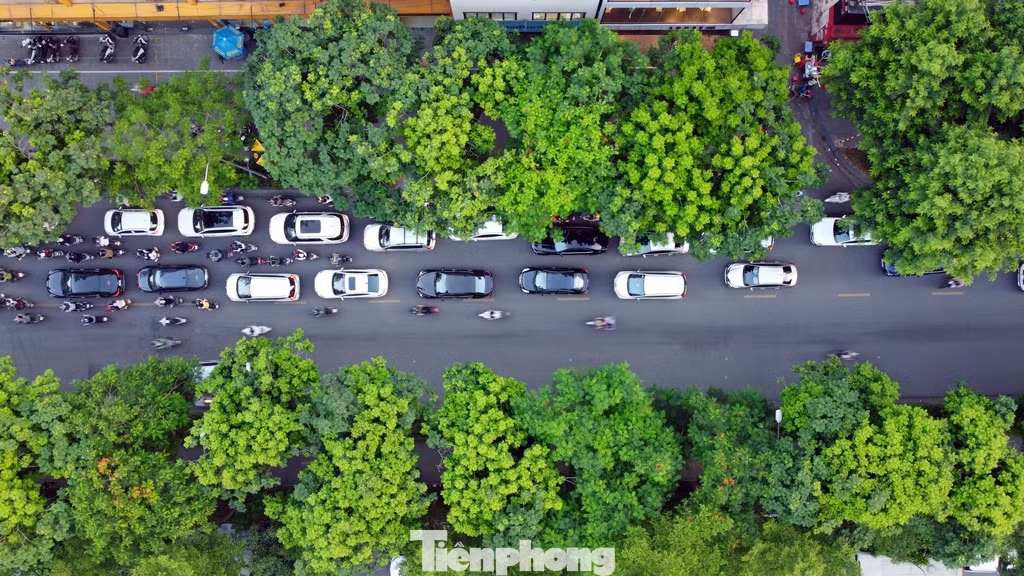 Các phương tiện tham gia giao thông trong những ngày hè được cây xanh che phủ trên nhiều tuyến phố của Thủ đô.