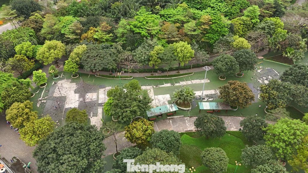 Công viên này có nhiều diện tích cây xanh, rộng rãi, thoáng đãng cùng hồ nước chạy dọc theo chiều dài khuôn viên. Nơi đây được xem là "lá phổi xanh" hay "rừng cây" nhỏ trong khu vực, góp phần điều hòa không khí cho thành phố, thu hút nhiều lứa tuổi đến công viên vui chơi, tập thể dục, hít không khí trong lành. Công viên này có nhiều diện tích cây xanh, rộng rãi, thoáng đãng cùng hồ nước chạy dọc theo chiều dài khuôn viên. Nơi đây được xem là "lá phổi xanh" hay "rừng cây" nhỏ trong khu vực, góp phần điều hòa không khí cho thành phố, thu hút nhiều lứa tuổi đến công viên vui chơi, tập thể dục, hít không khí trong lành.