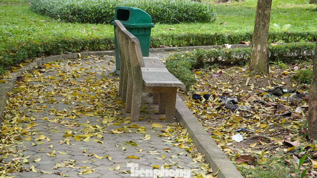 Cảnh hoang hóa đang bủa vây công viên Cầu Giấy trong thời gian dài. Cảnh hoang hóa đang bủa vây công viên Cầu Giấy trong thời gian dài.