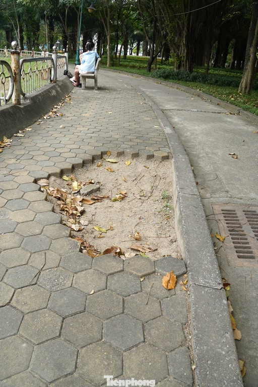 Sau hơn chục năm mở cửa, phục vụ nhân dân, đến nay Công viên Cầu Giấy đang xuống cấp nghiêm trọng, trở thành nỗi lo đối với người dân khi tới đây vui chơi, tập thể dục. Sau hơn chục năm mở cửa, phục vụ nhân dân, đến nay Công viên Cầu Giấy đang xuống cấp nghiêm trọng, trở thành nỗi lo đối với người dân khi tới đây vui chơi, tập thể dục.