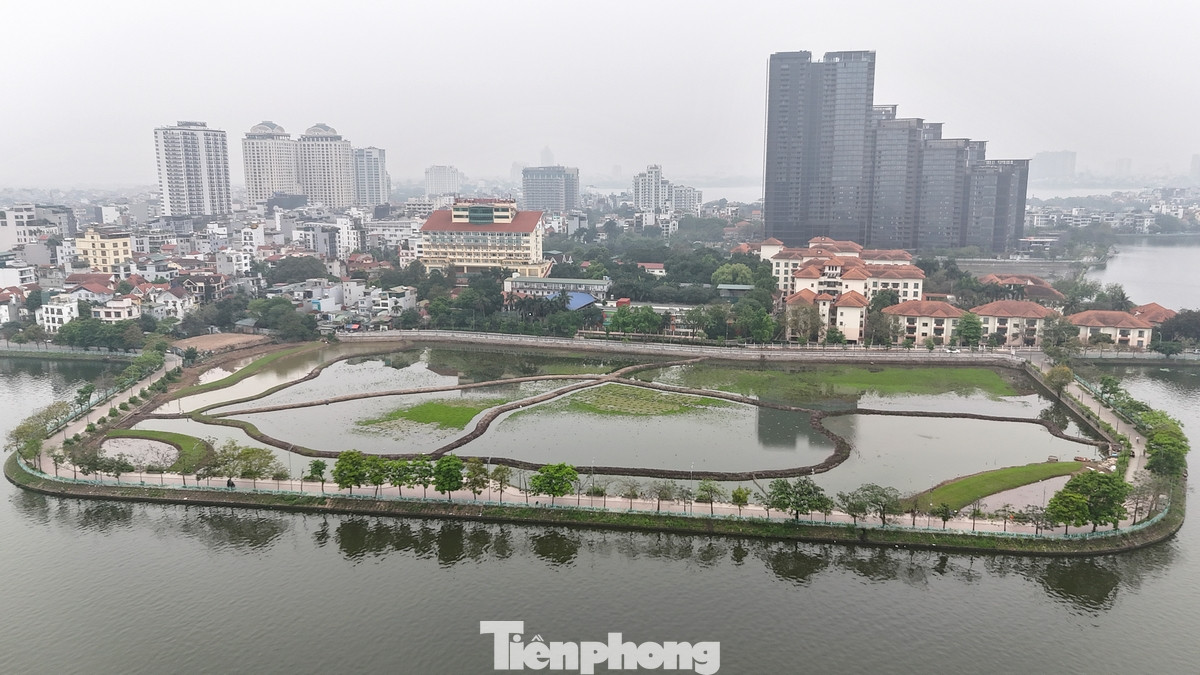 Toàn cảnh hồ Đầm Đông sau khi được trồng hàng nghìn mầm sen Bách Diệp. Chỉ thời gian vài tháng tới, sen sẽ phát triển và phủ kín mặt hồ với một màu xanh mướt.