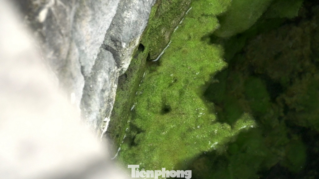 Vào năm 1821, trong chuyến ngự giá Bắc Tuần, vua Minh Mạng đã ghé thăm ngôi chùa này và đổi tên thành Hoằng Phúc Tự, được người dân quen gọi là chùa Trạm hoặc chùa Quan.