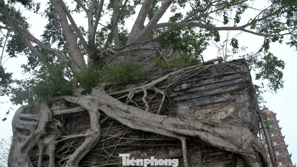 Vào năm 1821, trong chuyến ngự giá Bắc Tuần, vua Minh Mạng đã ghé thăm ngôi chùa này và đổi tên thành Hoằng Phúc Tự, được người dân quen gọi là chùa Trạm hoặc chùa Quan.