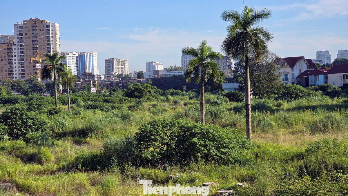 Đề xuất bố trí công trình hỗn hợp cao tầng kết hợp các khu thương mại dịch vụ thấp tầng và cây xanh cảnh quan, công trình hạ tầng xã hội, nhằm tăng cường các tiện ích dịch vụ và hình thành khu trung tâm thương mại dịch vụ và hỗn hợp hiện đại, đồng bộ, kết hợp với không gian ngầm, góp phần tăng tiện ích sinh hoạt cần thiết, cảnh quan, phục vụ nhu cầu người dân trong khu vực.