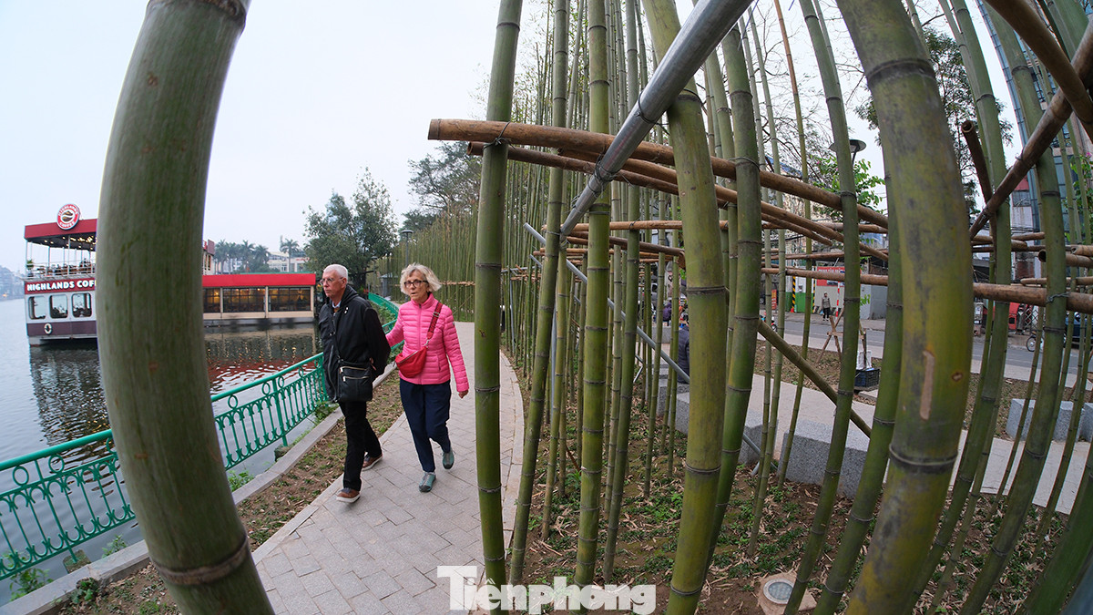 Nhiều người dân cũng như du khách nước ngoài tỏ vẻ thích thú với không gian đậm chất Việt. Hiện rừng trúc đang thu hút được nhiều người dân, khách du lịch trong nước và quốc tế tham quan, chụp ảnh. Nhiều người dân cũng như du khách nước ngoài tỏ vẻ thích thú với không gian đậm chất Việt. Hiện rừng trúc đang thu hút được nhiều người dân, khách du lịch trong nước và quốc tế tham quan, chụp ảnh.