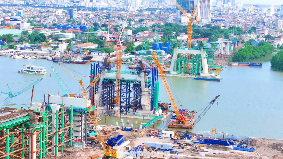 Ý tưởng thiết kế của cầu Hoàng Gia là Word Gateway Bridge (Cửa thế giới) với hai tháp ngả về phía sông.