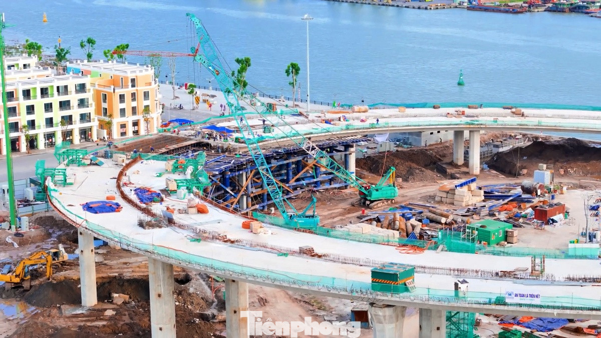 Thiết kế của cầu Hoàng Gia đồng bộ với cảnh quan kiến trúc của TP. Hải Phòng, đồng thời trở thành một trong những điểm nhấn kiến trúc.