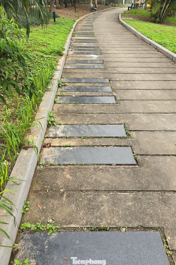 Các lối đi trong công viên rộng rãi, được thiết kế theo chủ đề âm nhạc. Hình ảnh lối đi được lát đá cách điệu như phím đàn.