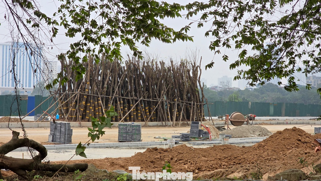 Hiện tại, sau hơn 1 năm thi công, đoạn tuyến từ điểm giao cắt Đại lộ Thăng Long đến phố Đại Linh (phường Mễ Trì) có tiến độ thi công tốt nhất, hiện đã thảm nhựa mặt đường lớp một. Một số hạng mục như lát đá vỉa hè, đổ đất giải phân cách trồng cây xanh đang gấp rút triển khai.