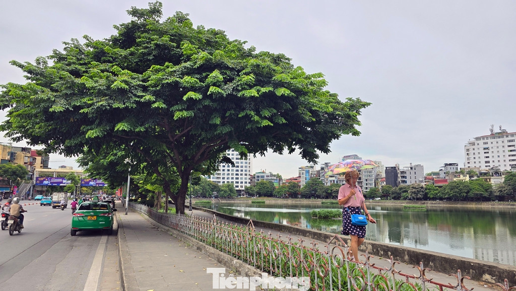 Đồng thời, quận tạo thêm tuyến phố gắn với các dịch vụ khác phục vụ người dân, thúc đẩy, tạo điều kiện cho kinh doanh khu vực phát triển, tạo cảnh quan văn minh và không gian vui chơi… nâng cao chất lượng cuộc sống.