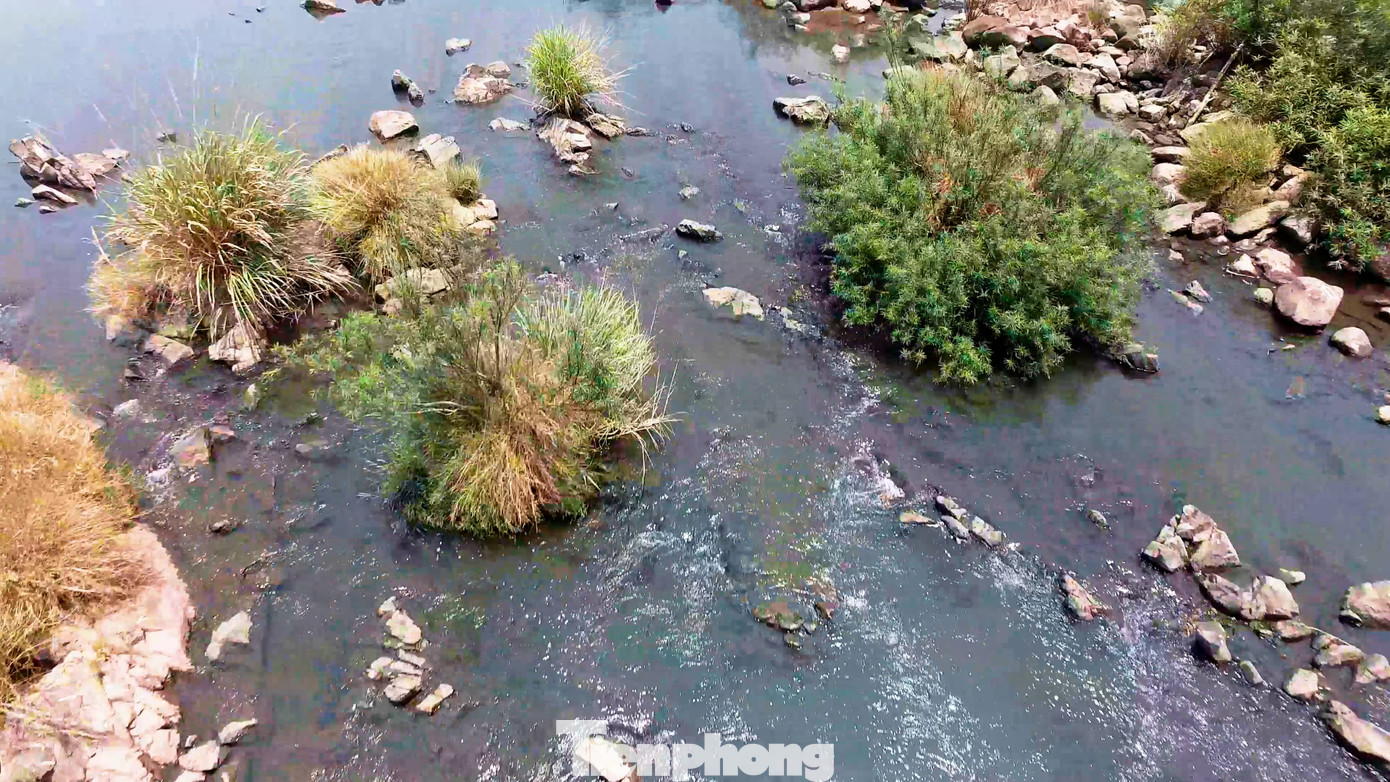 Con đập có hơn 2.500 các hạng mục lớn nhỏ và đang là công trình thủy lợi lớn nhất Phú Yên hiện nay. Đập dài 688 m, có hai kênh dẫn nước là kênh Chính Bắc và Chính Nam phục vụ cho tưới tiêu nông nghiệp tại khu vực Tuy Hòa.