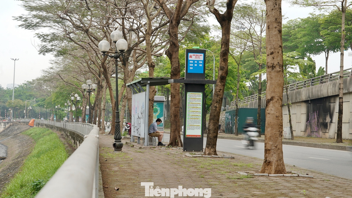 Một điểm chờ xe buýt trên trục đường cạnh sông Tô Lịch (đối diện 298 đường Bưởi, quận Cầu Giấy, TP Hà Nội).