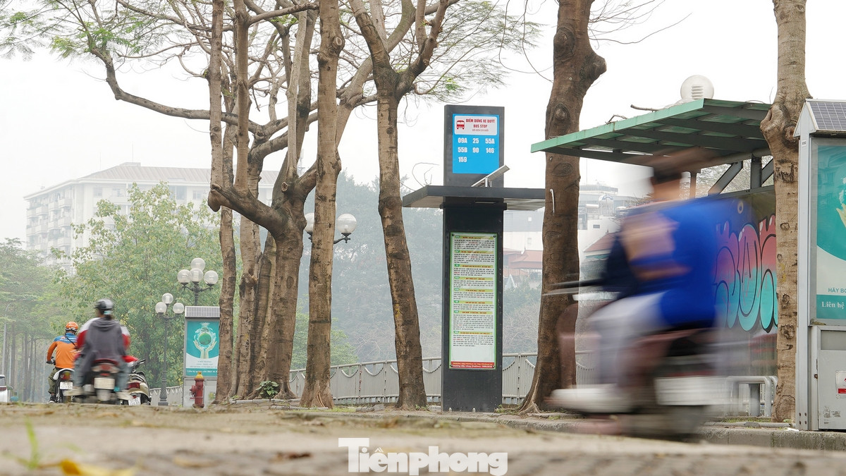 Trên một số tuyến đường của Hà Nội dễ bắt gặp những điểm chờ xe buýt được lắp đặt hiện đại theo tiêu chuẩn châu Âu. Cột thông tin thiết kế có mái che, điện chiếu sáng giúp hành khách tra cứu thông tin khi trời tối, đảm bảo an ninh trật tự tại điểm dừng.