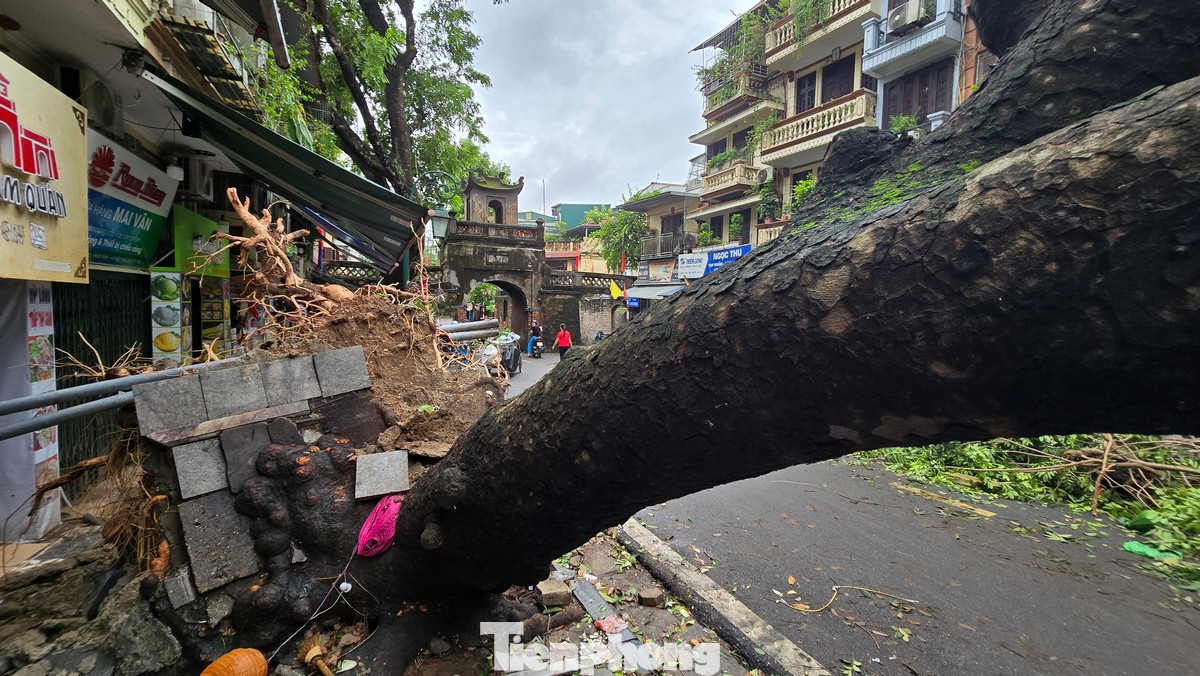 Tại Ô Quan Chưởng, hàng loạt cây xanh cũng đổ ngổn ngang. Tại đây, đơn vị chức năng phải thiết lập hàng rào chắn để cảnh báo các phương tiện không đi qua.