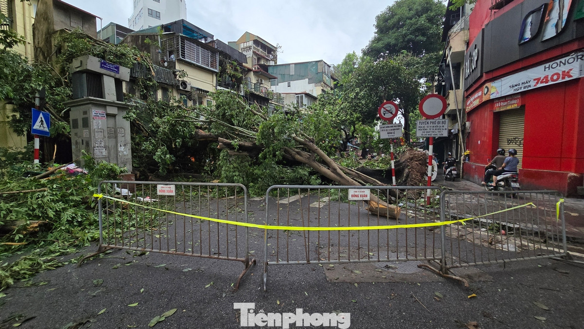 Sau khi cơn bão số 3 (bão Yagi) quét qua, đến sáng 9/9, nhiều tuyến đường trong khu vực phố Hà Nội vẫn ngổn ngang cây đổ chắn ngang đường.