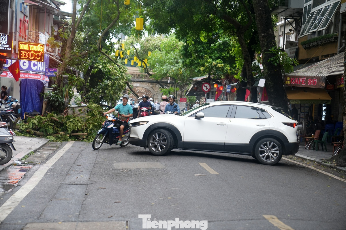 Xe ô tô phải quay đầu khi gặp cây đổ chắn ngang phố, xe máy cố lách lên vỉa hè để đi.