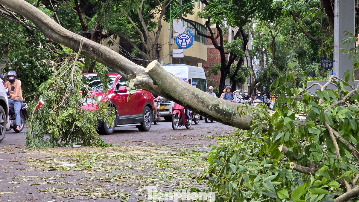 VCCI đề nghị Bộ Tài chính nghiên cứu giảm tiền thuê đất trong năm nay cho 26 địa phương chịu ảnh hưởng của bão số 3.