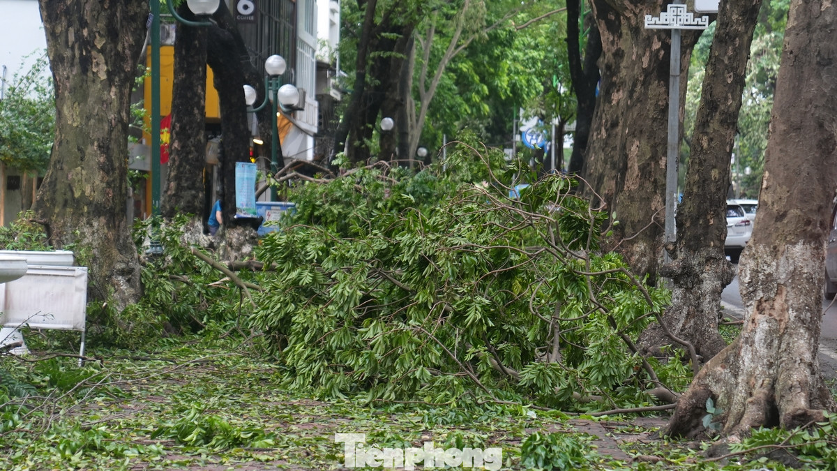 Đường Phan Đình Phùng, con đường được coi là "đường thơ" của Hà Nội cũng chung cảnh tan hoang sau bão. Vỉa hè không có lối đi do cành cây phủ kín.