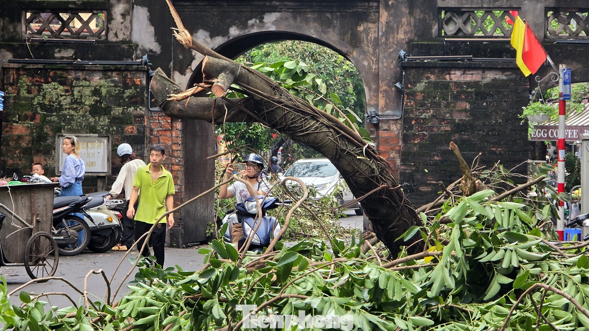 Tại Ô Quan Chưởng, hàng loạt cây xanh cũng đổ ngổn ngang. Tại đây, đơn vị chức năng phải thiết lập hàng rào chắn để cảnh báo các phương tiện không đi qua.