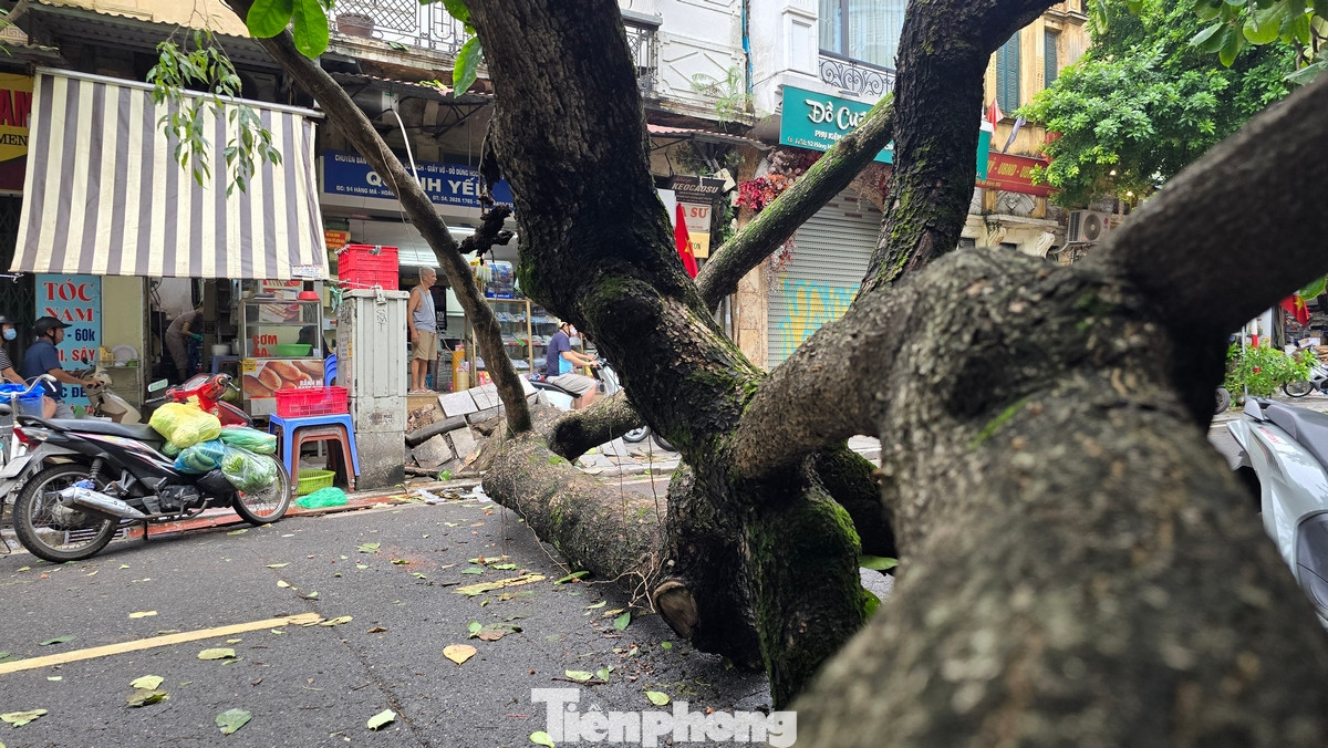 Việc số lượng cây xanh gãy đổ do cơn bão số 3 (YAGI) gây ra đã khiến công ty cây xanh Hà Nội không thể kịp dọn dẹp để giải phóng đường phố.
