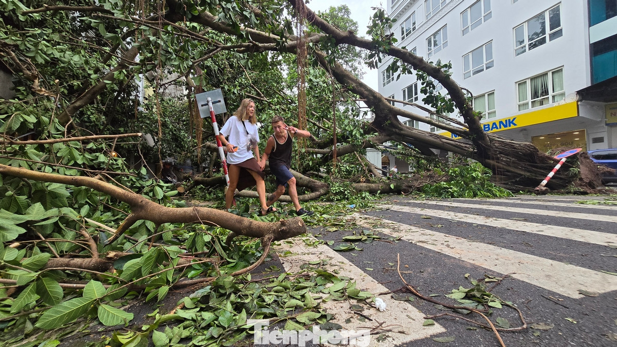 Người dân khom mình đi qua đoạn đường có cây đổ.