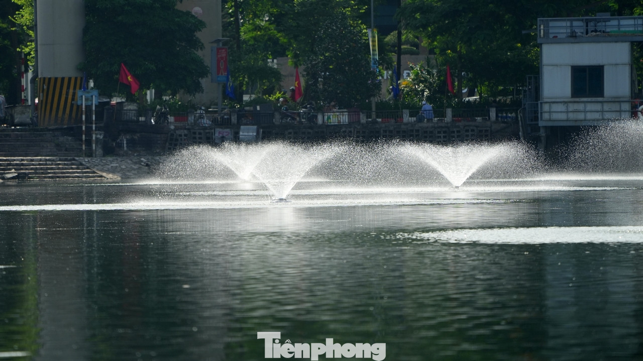 Hồ Đống Đa ngoài được cải tạo, mở rộng, nâng cấp đường dạo dưới trên cơ sở kè hiện trạng bằng đá tự nhiên nhám bề mặt. Thay thế hệ thống lan can quanh hồ đã xuống cấp, hư hỏng. Trồng mới, thay thế một số cây xanh bóng mát bị sâu mục, nghiêng ngả, gãy đổ, không thuộc chủng loại cây đô thị; bố trí hệ thống cây thảm, cây bụi trang trí xen kẽ hệ thống ghế ngồi, đường dạo ven hồ.