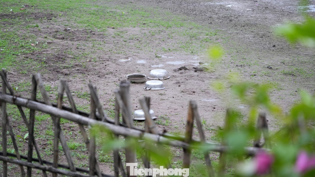 Đây đã từng là một hồ sen xanh mướt.