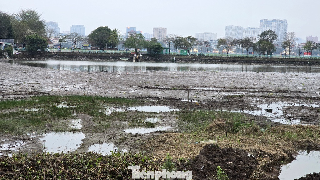 Hình ảnh Đầm Trị nằm ngay cạnh di tích Phủ Tây Hồ hiện ngập trong rác thải.