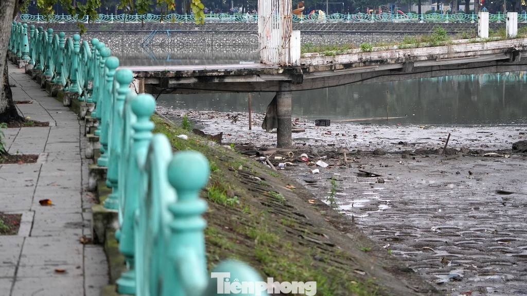 Mấy ngày gần đây, lượng cá ở ao Thủy Sứ chết nhiều khiến tình trạng ô nhiễm càng trở nên nghiêm trọng.