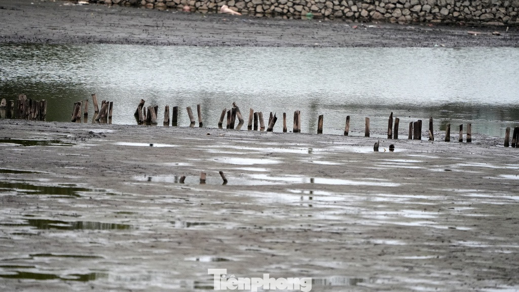 Những ao, đầm này một thời nổi tiếng với những thung lũng sen.