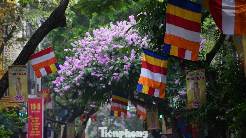 Cờ hoa rực rỡ trên phố Lý Quốc Sư mừng Phật đản Phật lịch 2568.