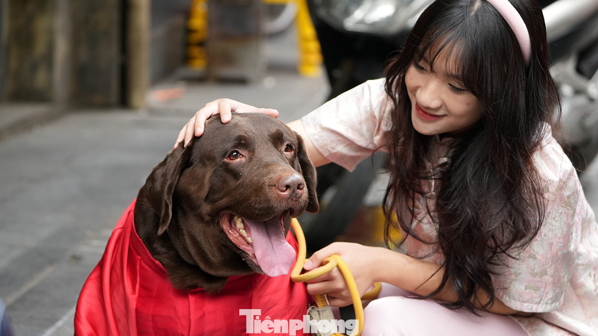 Nhiều bạn trẻ còn mang cả thú cưng đi chụp hình cùng với những phụ kiện đầy màu sắc Tết.