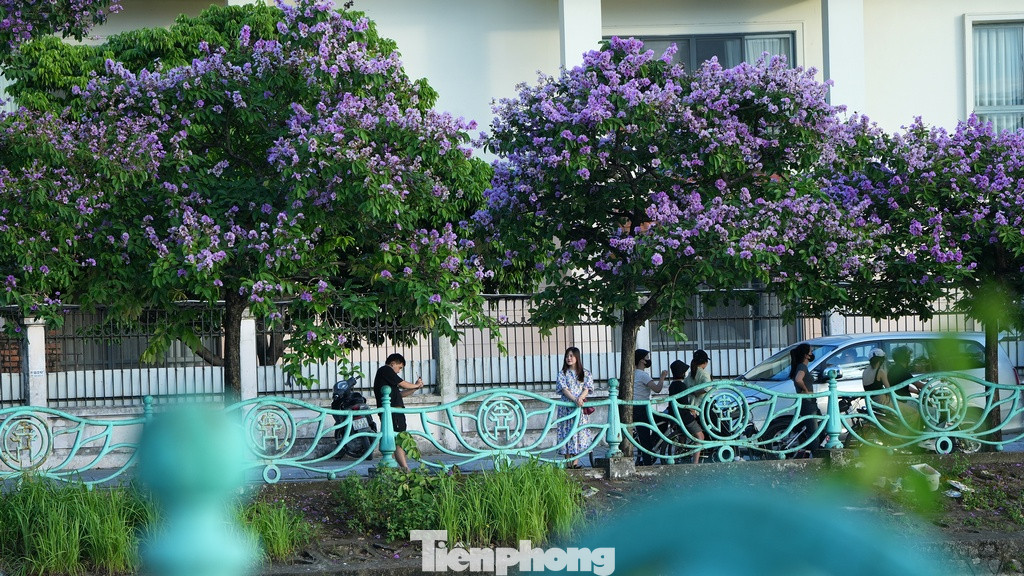 Sau một ngày nắng nóng, giữa Hà Nội náo nhiệt với tiết trời oi bức, vẫn còn đâu đó những ngóc ngách bình yên và nên thơ.