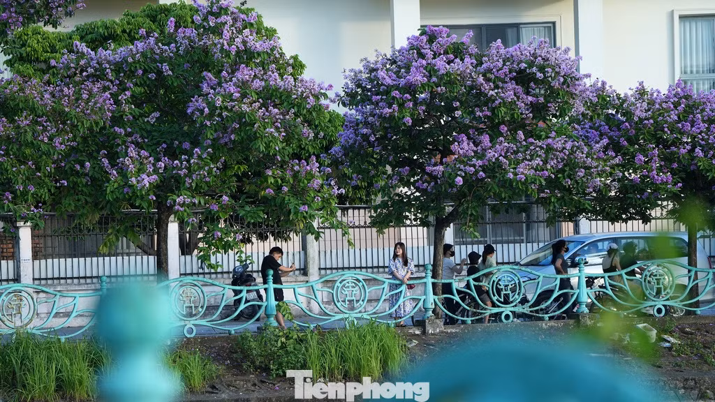 Sau một ngày nắng nóng, giữa Hà Nội náo nhiệt với tiết trời oi bức, vẫn còn đâu đó những ngóc ngách bình yên và nên thơ.