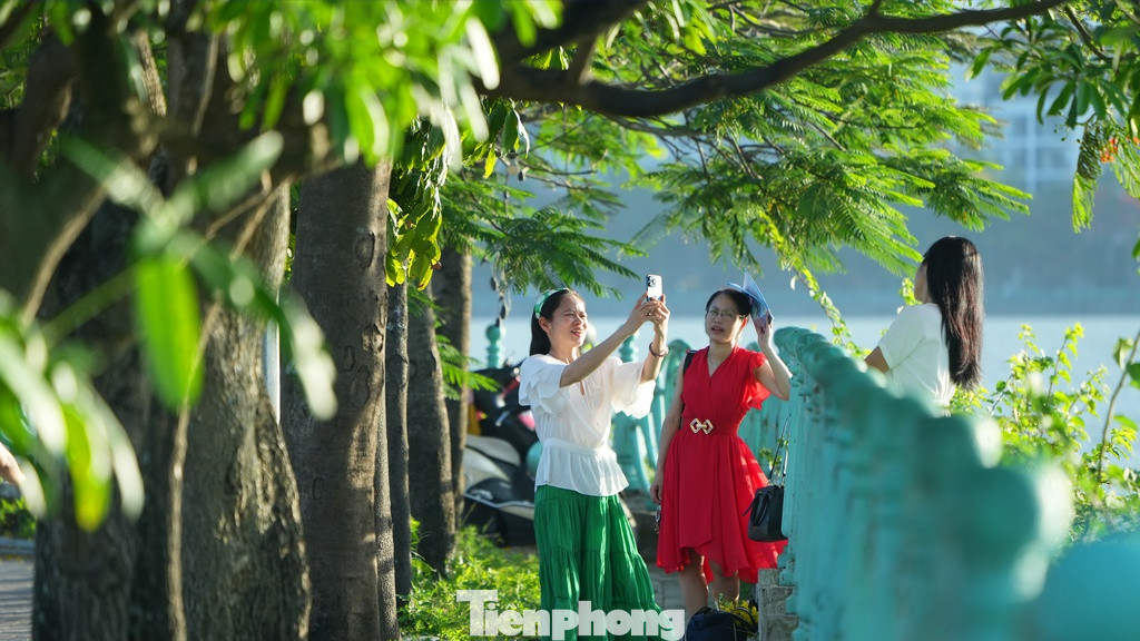 Hoa phượng, hoa bằng lăng cùng hàng lan can quanh Hồ Tây luôn được nhiều người lựa chọn làm bối cảnh chụp ảnh.