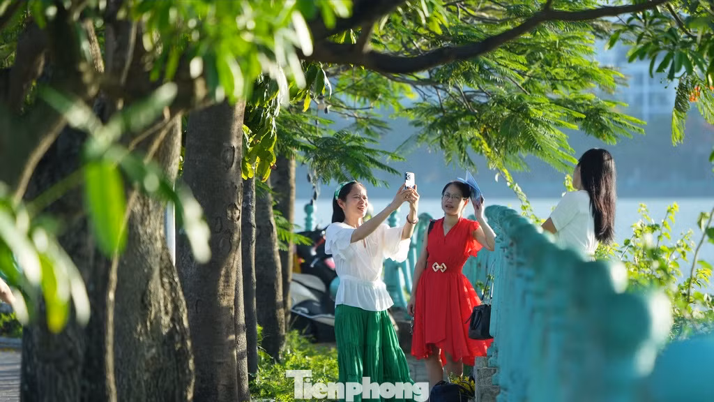 Hoa phượng, hoa bằng lăng cùng hàng lan can quanh Hồ Tây luôn được nhiều người lựa chọn làm bối cảnh chụp ảnh.