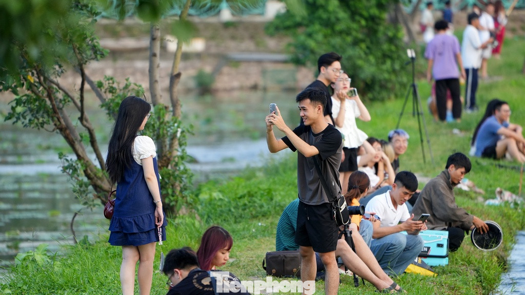 Đoạn đê giữa mặt nước Hồ Tây và những đầm sen luôn là địa điểm được nhiều bạn trẻ lựa chọn chụp hình vào những buổi chiều hè.