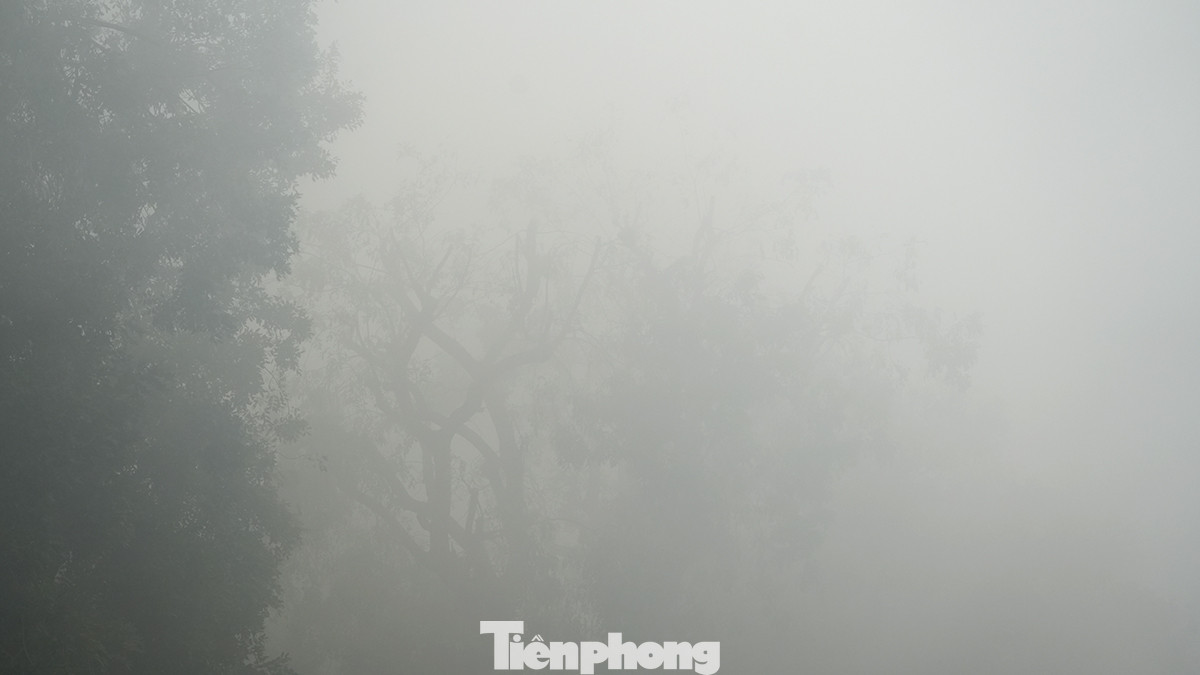 Mọi cảnh vật chìm trong sương mù.