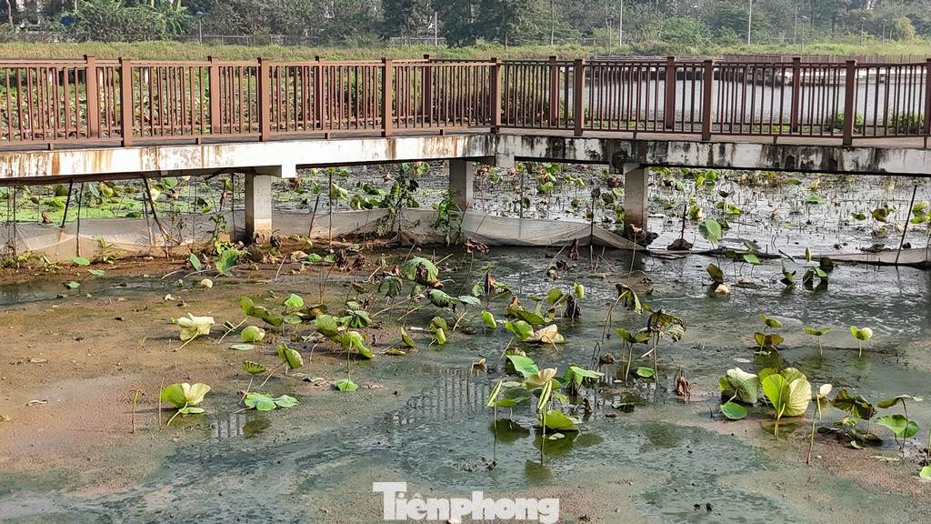 Dự án đã được UBND thành phố phê duyệt Chủ trương đầu tư tại Quyết định số 2580/QĐ-UBND ngày 15/12/2008 và Điều chỉnh chủ trương lần tại Quyết định số 3162/QĐ-UBND ngày 31/8/2022 cho phép giãn tiến độ thực hiện Dự án: "hoàn thành Quý IV/2024".