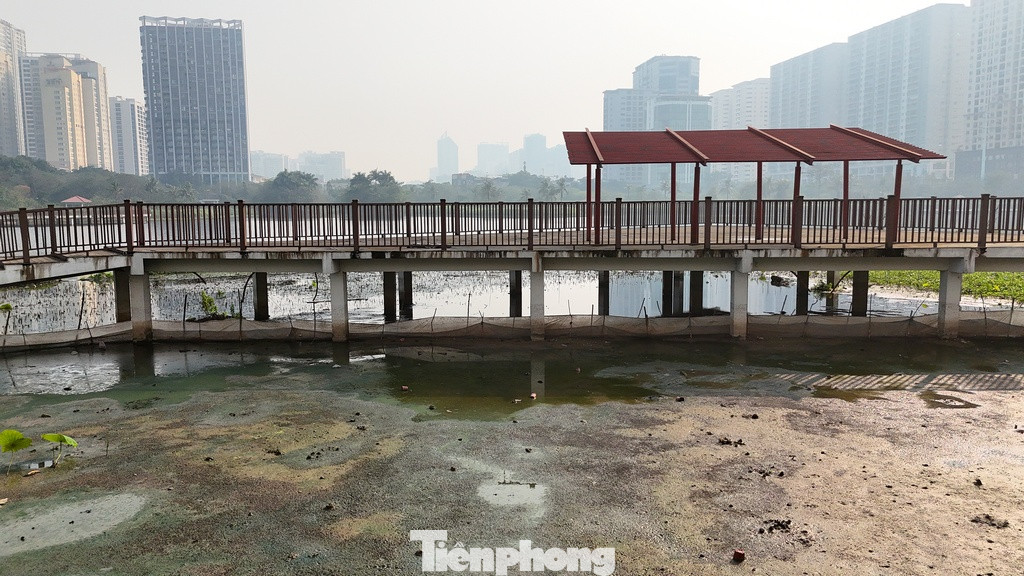 Sự hoang hóa đang diễn ra nhanh chóng sau nhiều năm bị bỏ hoang.