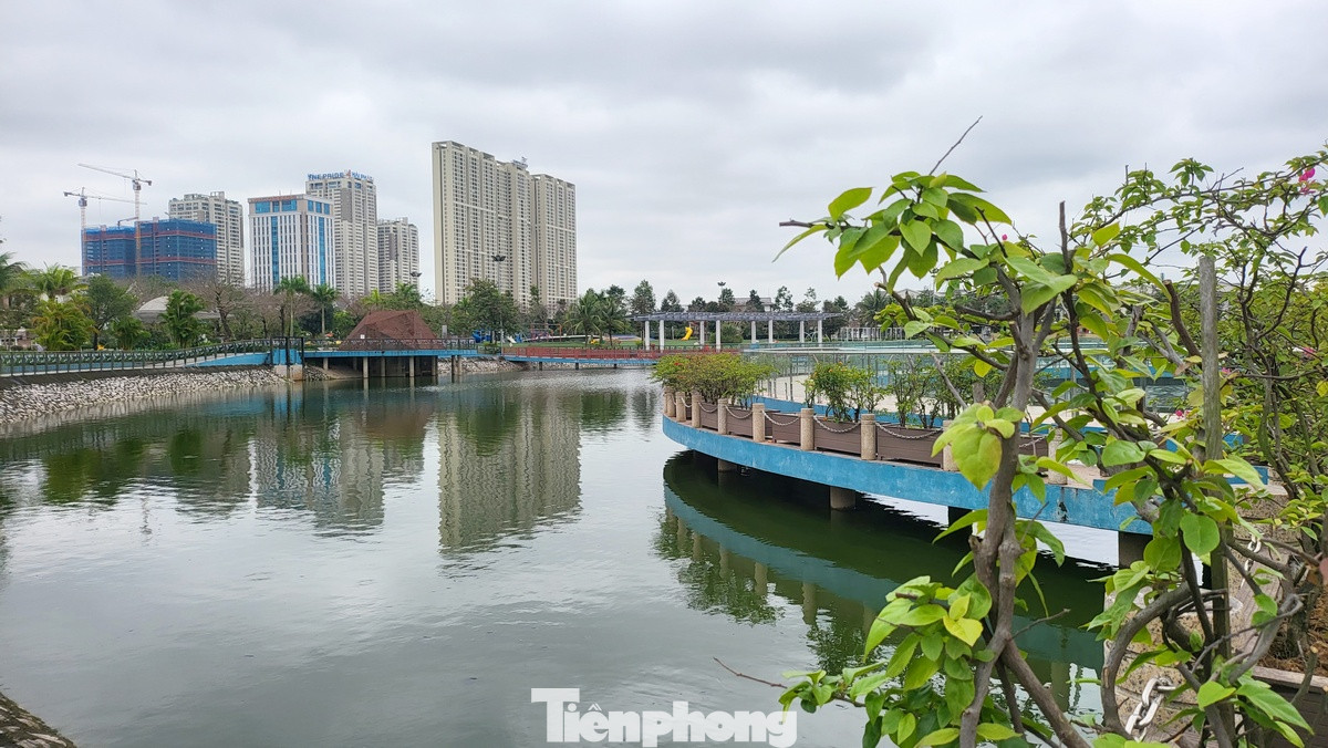 Không gian xanh mướt với hoa và cây xanh. Không gian xanh mướt với hoa và cây xanh.