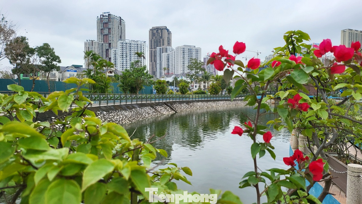 Không gian xanh mướt với hoa và cây xanh. Không gian xanh mướt với hoa và cây xanh.