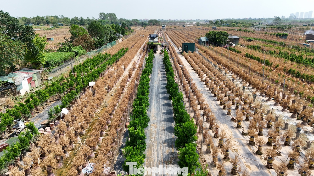 Đêm 9/10 vừa qua, mực nước sông Hồng dâng cao tại nhiều khu vực như phường Tứ Liên, quận Tây Hồ; bến Chương Dương tại phường Chương Dương Độ, quận Hoàn Kiếm... Nhiều hộ gia đình đã phải thức trắng đêm để sơ tán hàng hóa, tài sản ra khỏi vùng ngập lụt.