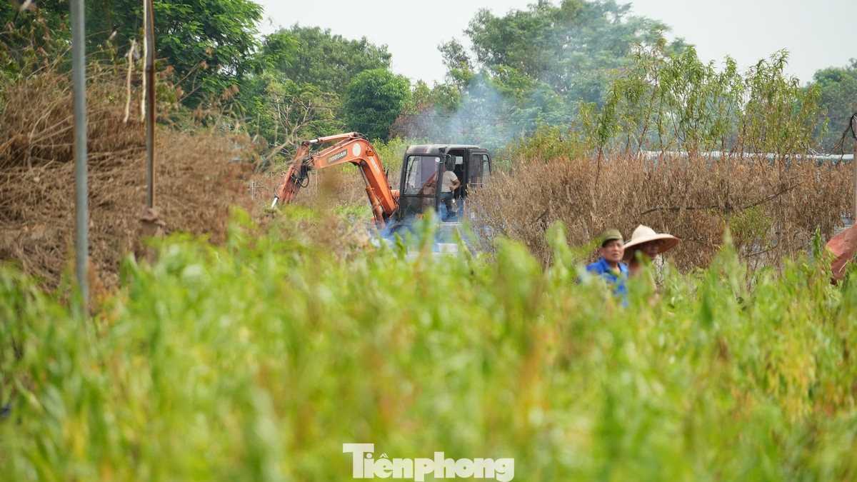 Trong đó, hơn 600 trường hợp đã vay vốn từ Ngân hàng chính sách xã hội, hơn 400 trường hợp chưa vay vốn, đối với những trường hợp này, quận Tây Hồ sẽ có biện pháp giãn nợ, cho vay, cho vay tiếp nếu người lao động có nhu cầu với lãi suất 0%”, Phó Chủ tịch UBND quận Tây Hồ nói.